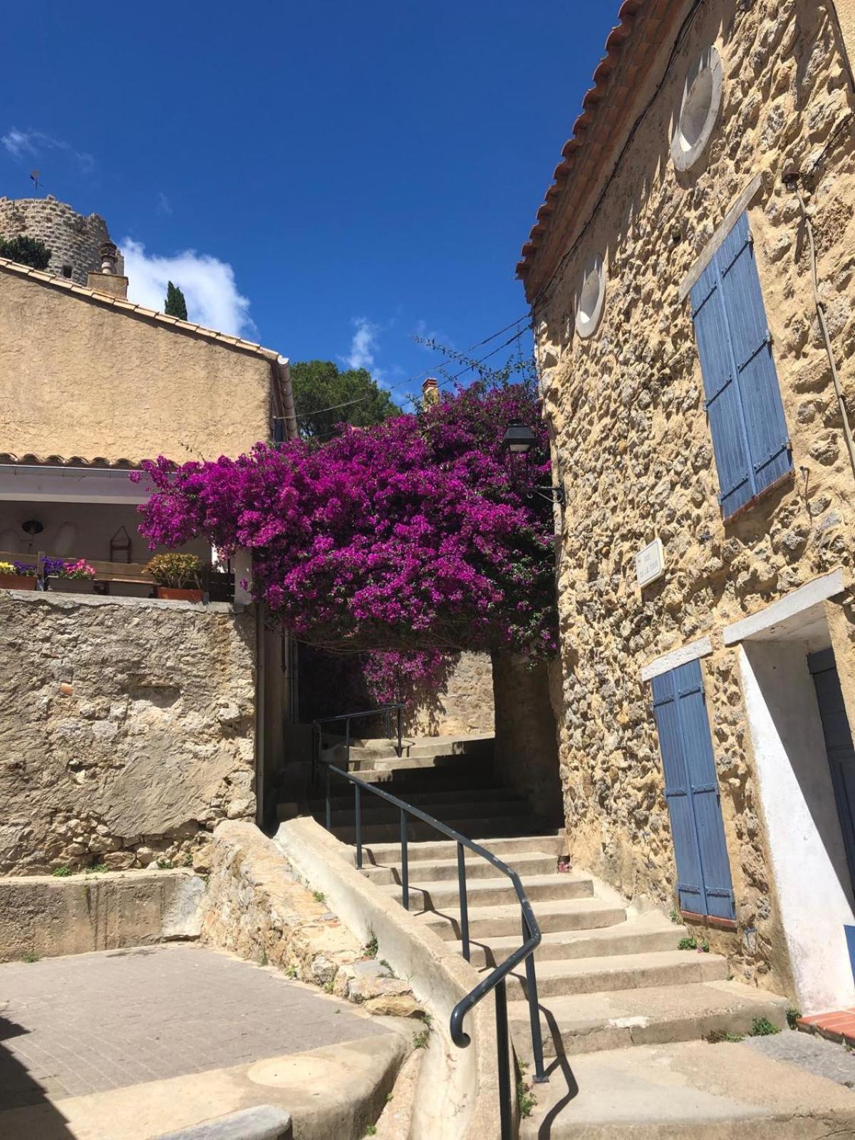 Maison Chalet 200 M De La Plage Climatisation Et Wifi Gruissan Exteriér fotografie